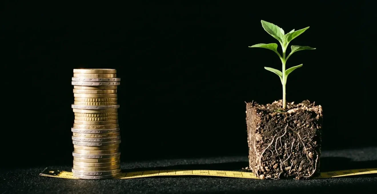 Pile de pièces d'euro et jeune pousse dans la terre reliées par un ruban de mesure, symbolisant le passage du coût d'achat au coût global incluant l'impact carbone.